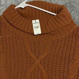 Express Tunic sweater
